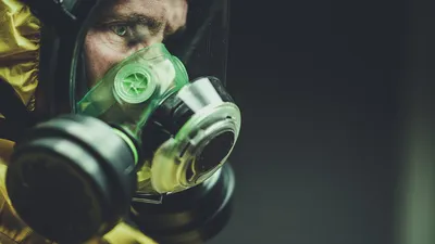 El Virus de Shamonda en España: ¿qué significa para los profesionales del control de plagas?